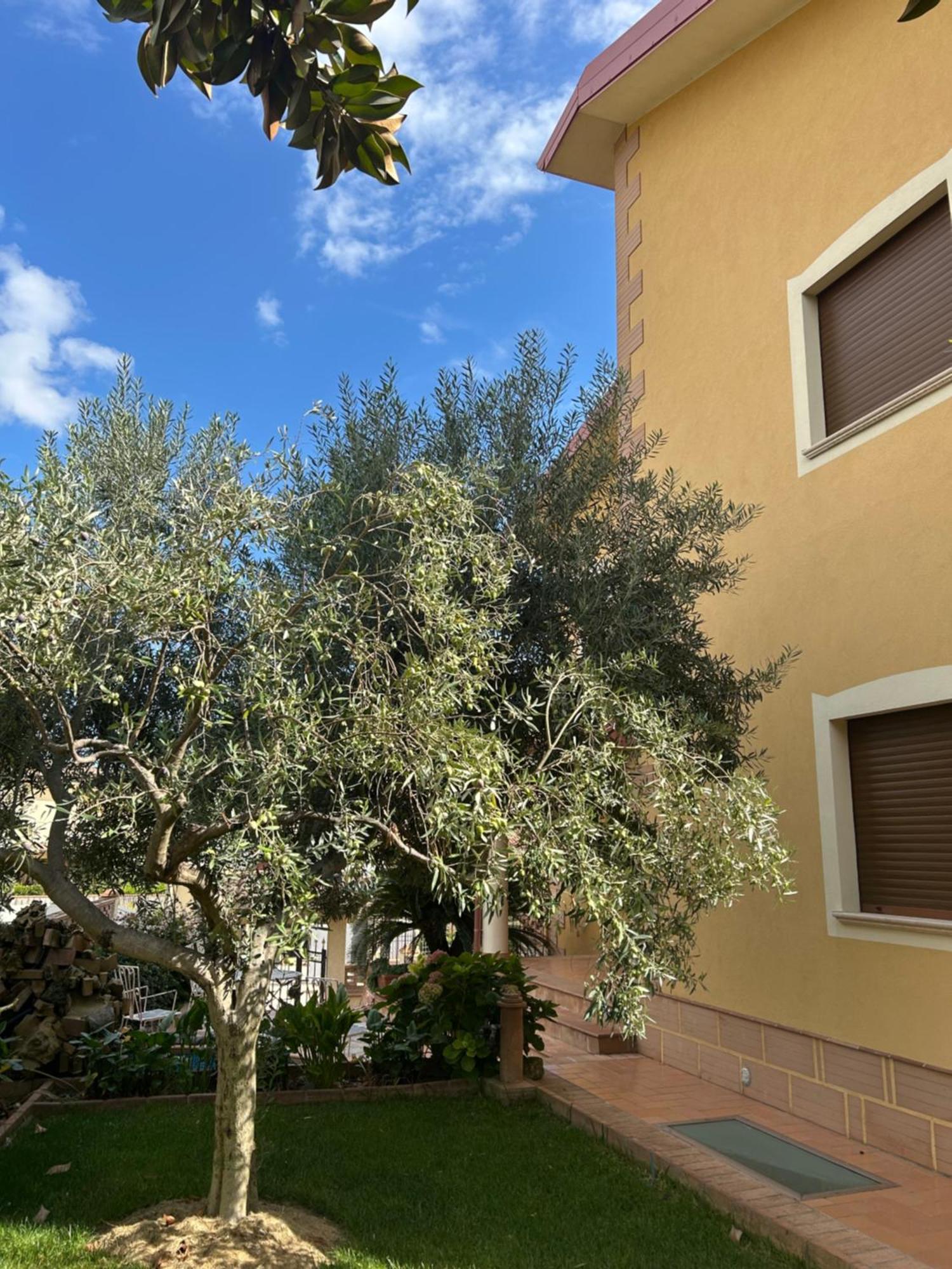B&B Villa Maria Catanzaro Eksteriør billede